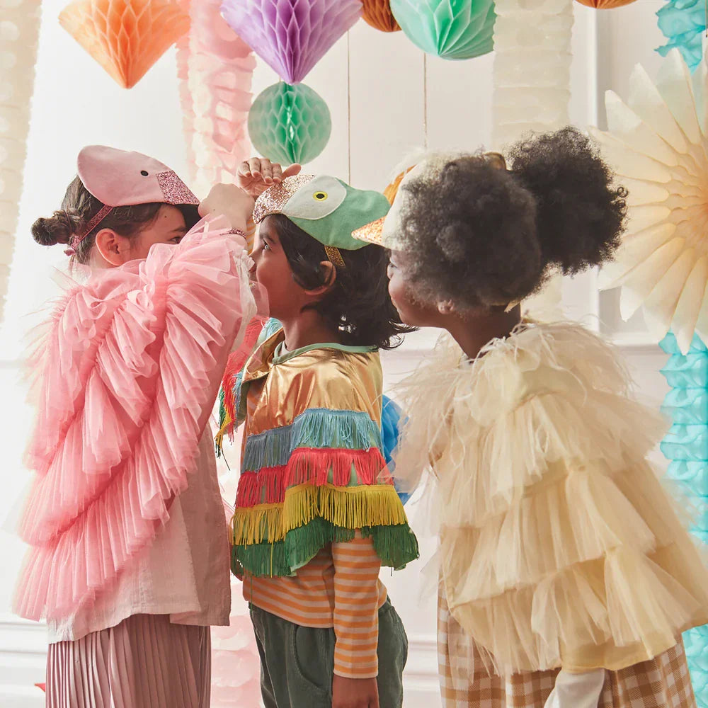 Dress Ups & Costumes