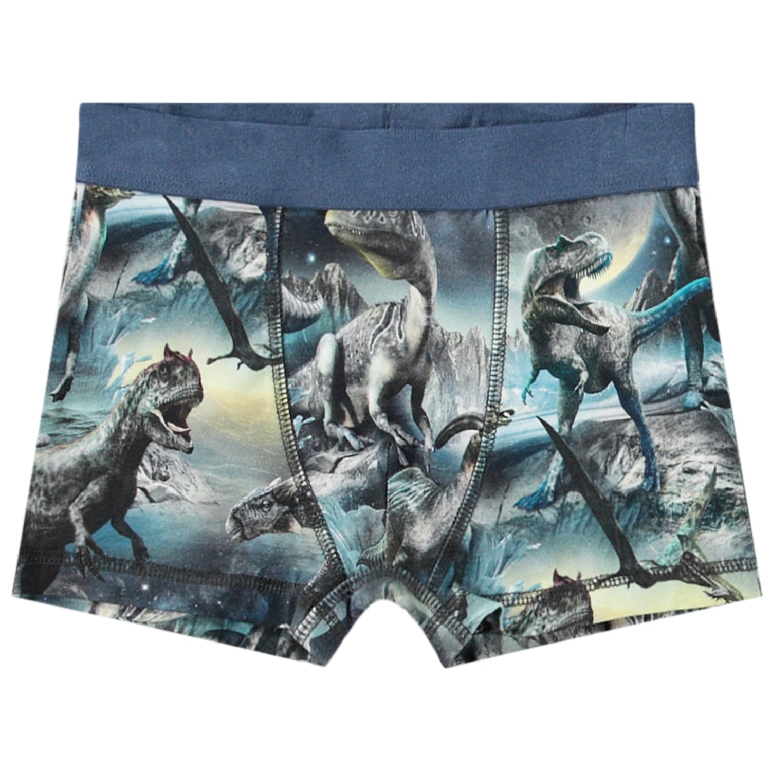 Justin boxer shorts 2-pack - Dino calm / blue