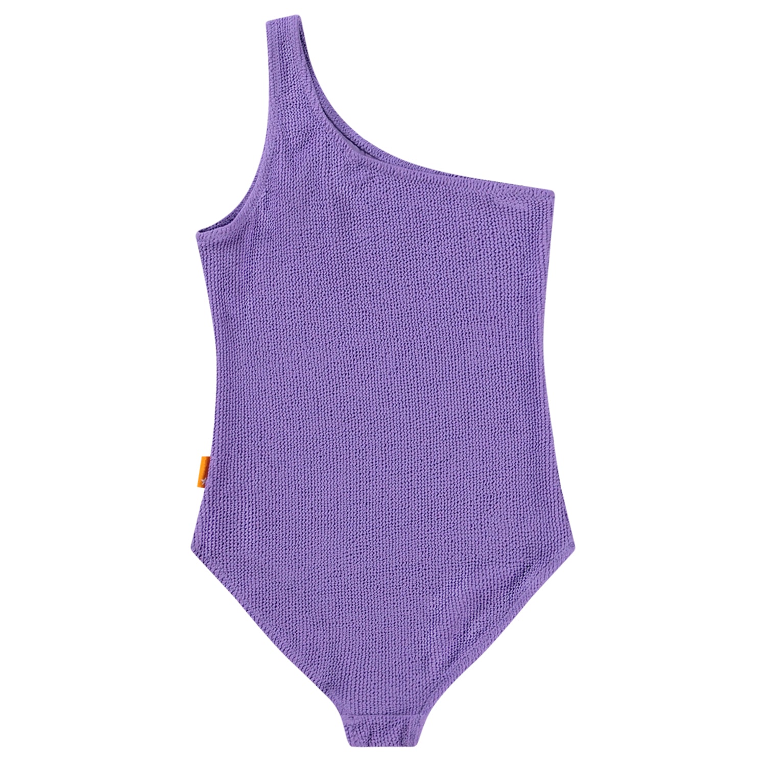 Nai Solid Swimsuit - Purple Glo