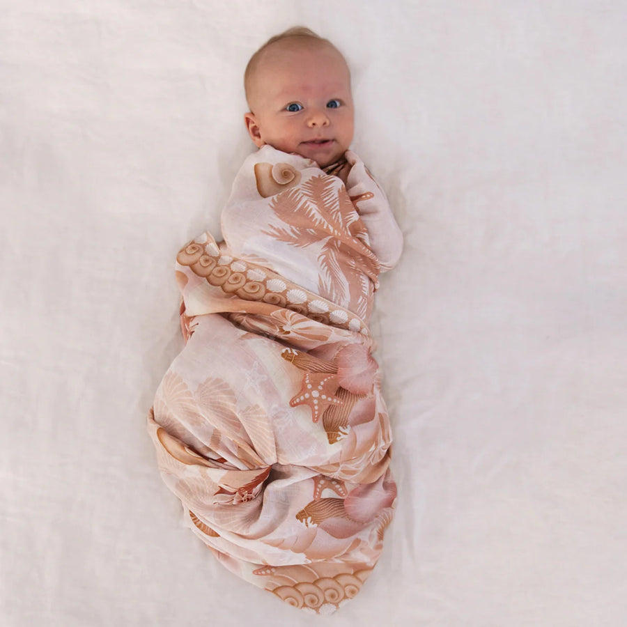 Shell collector swaddle