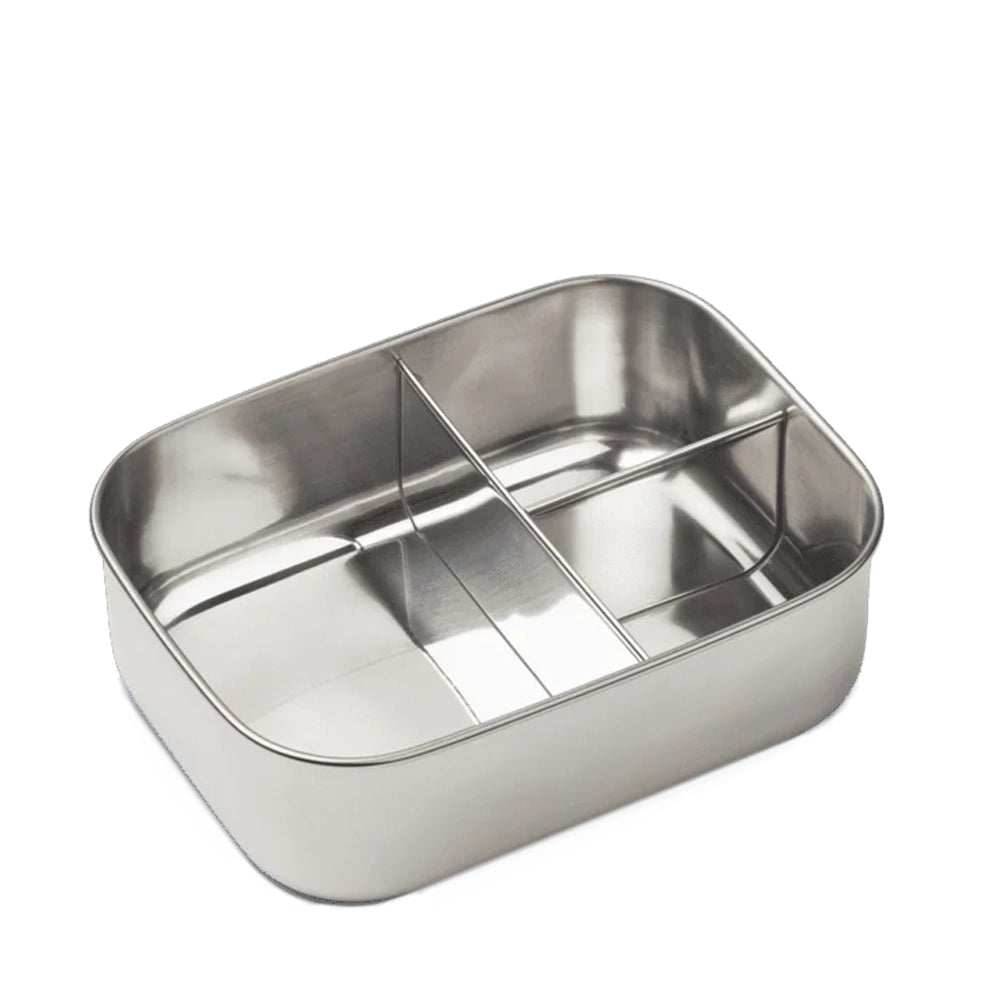 Arthur Lunchbox - Dinosaur Mist