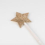 Metallic Rainbow Cape & Wand