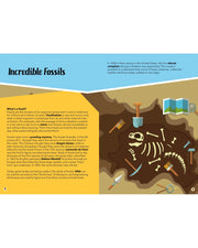 Travel Learn Explore - Dinosaur Set