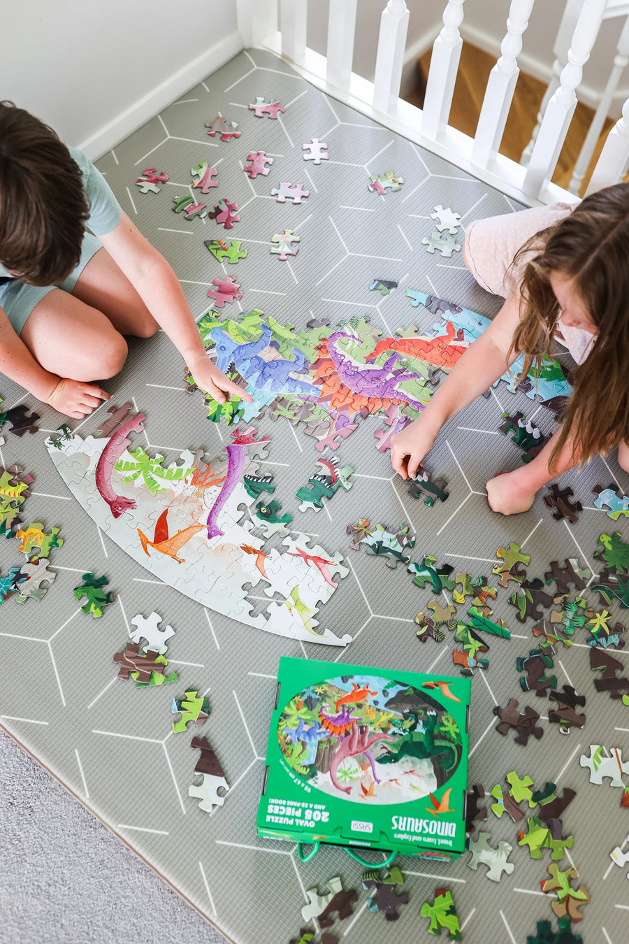 Travel Learn Explore - Dinosaur Set