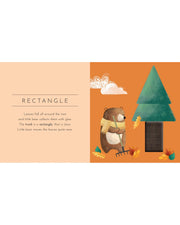 Touch & Feel Pocket Book - Shapes