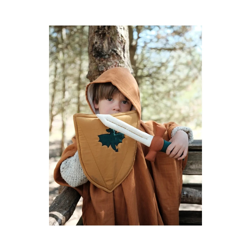 Shield and Sword  - Dragon