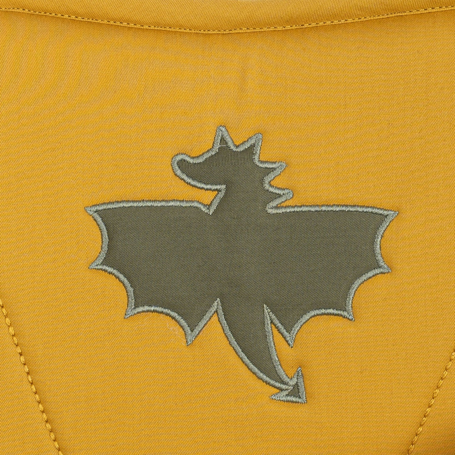Shield and Sword  - Dragon