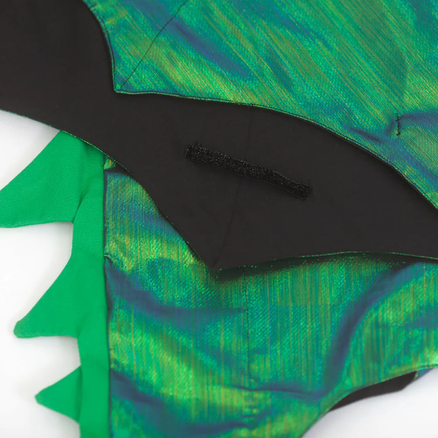 Green Dragon Costume