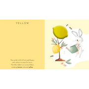 Touch & Feel Pocket Book - Colours