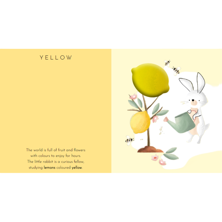 Touch & Feel Pocket Book - Colours