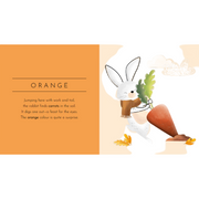 Touch & Feel Pocket Book - Colours